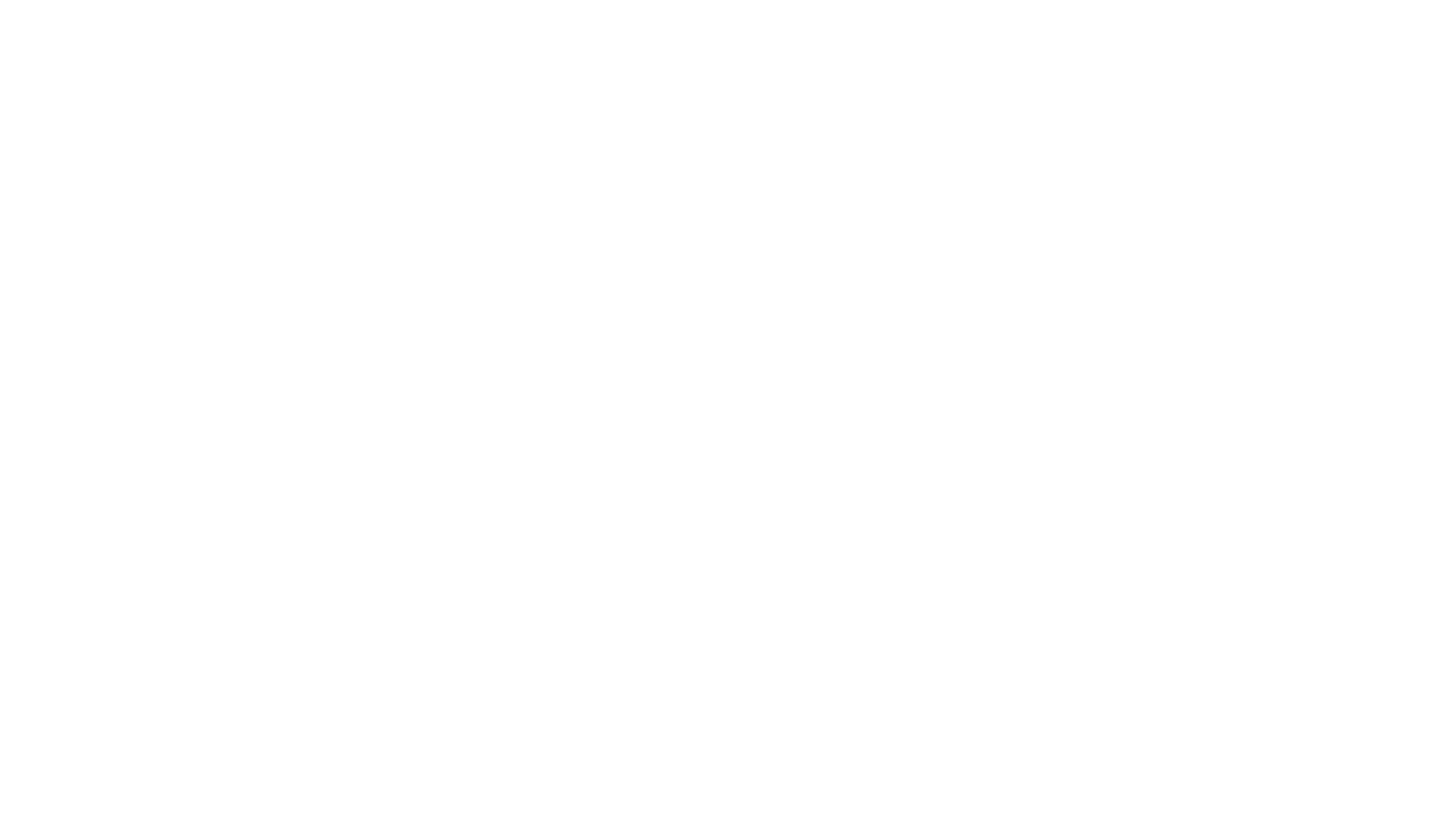 Fight Festival